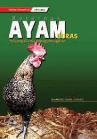 Image of Beternak Ayam Buras