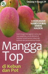 Image of Mangga Top di kebun dan pot